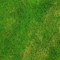 grass - zdarma png animovaný GIF