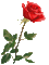 flowers katrin - Бесплатный анимированный гифка анимированный гифка