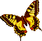 Papillon doré gif, Pelageya - GIF animé gratuit