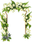 muguet  cadre lily of the valley frame