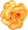 yellow rose - zdarma png animovaný GIF