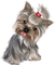 chien - zdarma png animovaný GIF