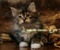 cat laurachan - бесплатно png анимированный гифка