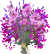 цветы - Darmowy animowany GIF animowany gif