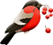 oiseaux - kostenlos png Animiertes GIF