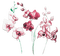 soave deco  flowers spring  garden pink green - 無料png アニメーションGIF