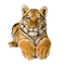 tygrys bengalski - png gratuito GIF animata