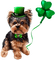 st. Patrick dog  by nataliplus - Free PNG Animated GIF