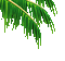 soave deco summer palm border animated green - GIF animé gratuit GIF animé