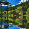 spring printemps  paysage landscape gif anime animated animation image fond background pond teich etang lake lac see water eau forest wald berge montagnes mountains forêt