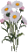 Blume, fleur, flower - GIF animé gratuit GIF animé