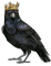 Raven King - PNG gratuit GIF animé