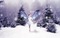fairy winter laurachan - δωρεάν png κινούμενο GIF