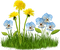 Kathleen Reynolds Grass Leaves Leafs Flowers - PNG gratuit GIF animé