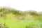 łąka 2 - bezmaksas png animēts GIF