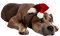 Kaz_Creations Dogs Dog Chien Noel - png gratis GIF animado