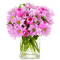 Kaz_Creations Flowers-Fleurs-Vase - png gratis GIF animasi