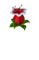 virág - ilmainen png animoitu GIF