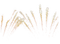 fireworks - 免费PNG 动画 GIF