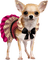 JOLIE PETITE CHIENNE - 免费PNG 动画 GIF