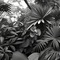 Greyscale Jungle - kostenlos png Animiertes GIF