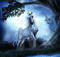 unicorn - GIF animé gratuit GIF animé