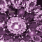 Y.A.M._Vintage jewelry backgrounds purple - 免费动画 GIF 动画 GIF