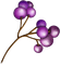 fleur violette.Cheyenne63