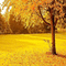 autumn background - GIF animate gratis GIF animata