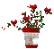MMarcia gif vaso flor vermelha - Бесплатный анимированный гифка анимированный гифка