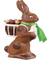 chocolate easter bunny paques lapin