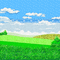 Sky and grass background glitter gif
