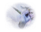 tube licorne - безплатен png анимиран GIF