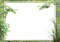 Cadre.Frame.Plants.Green.Victoriabea - PNG gratuit GIF animé