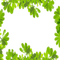 spring leaves frame - 免费PNG 动画 GIF