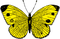 Kaz_Creations Butterfly - kostenlos png Animiertes GIF