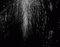 dark forest - 免费动画 GIF