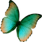 Papillon - ilmainen png animoitu GIF