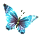 Y.A.M._Fantasy butterfly blue - GIF เคลื่อนไหวฟรี GIF แบบเคลื่อนไหว