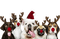 loly33 chien noël - gratis png animeret GIF