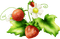 strawberries Bb2 - png ฟรี GIF แบบเคลื่อนไหว