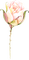 rose rose.Cheyenne63 - nemokama png animuotas GIF