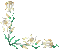 Flower Frame - Darmowy animowany GIF animowany gif