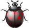 Kaz_Creations Ladybugs Ladybug - PNG gratuit GIF animé