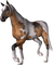 horse -Nitsa P 1 - ingyenes png animált GIF