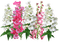 kukka flower fleur - bezmaksas png animēts GIF