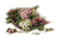 flores transparentes dubravka4 - ilmainen png animoitu GIF