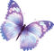 mariposa - png gratis GIF animado
