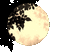 Луна - 無料のアニメーション GIF アニメーションGIF