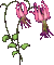 fleur 2 clochettes - GIF animé gratuit
